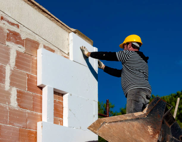 Best Specialized Insulation Services in Mion, AR