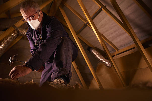 Best Spray Foam Insulation in Mion, AR